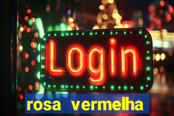 rosa vermelha (letra e cifra)