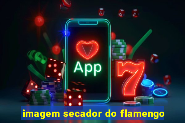 imagem secador do flamengo