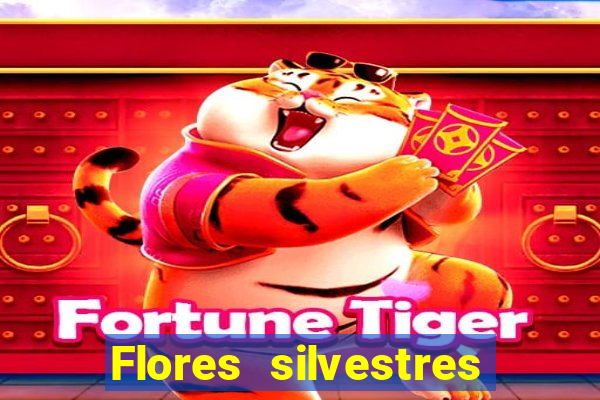 Flores silvestres brasileiras 25