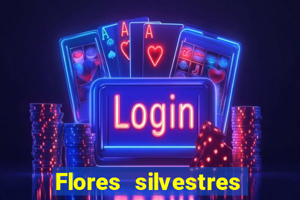 Flores silvestres brasileiras 25