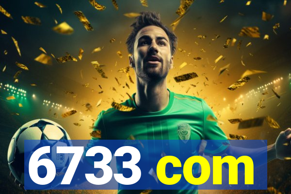 6733 com