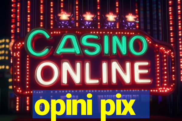 opini pix