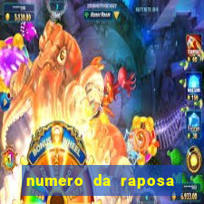 numero da raposa jogo do bicho