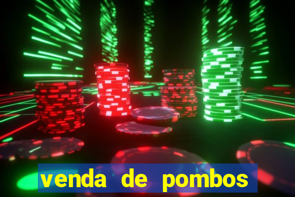 venda de pombos correios olx