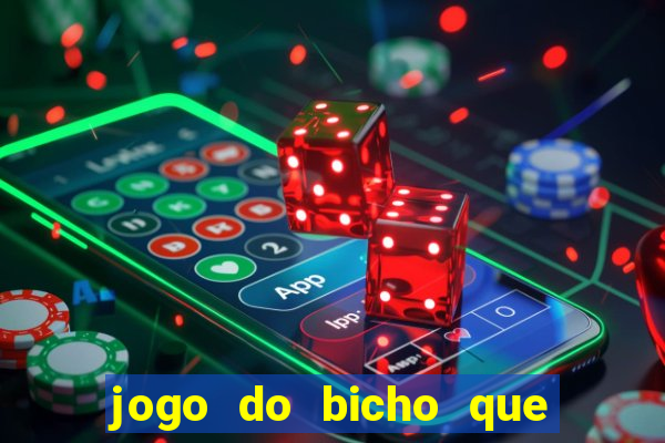 jogo do bicho que paga no pix