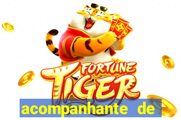 acompanhante de luxo zona norte