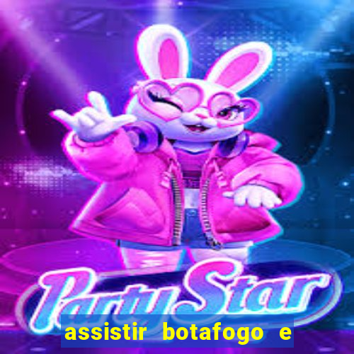 assistir botafogo e avai ao vivo em hd