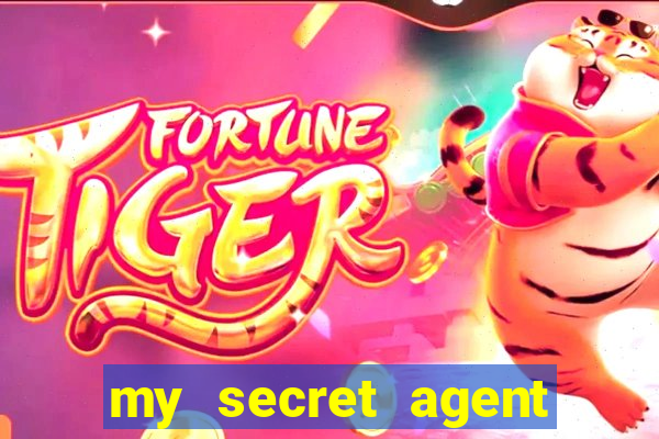my secret agent husband legendado