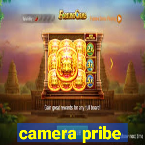 camera pribe