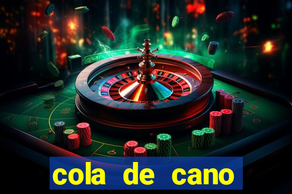 cola de cano quanto tempo para secar