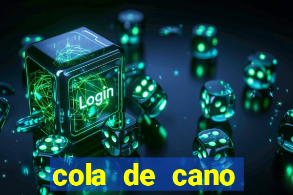 cola de cano quanto tempo para secar