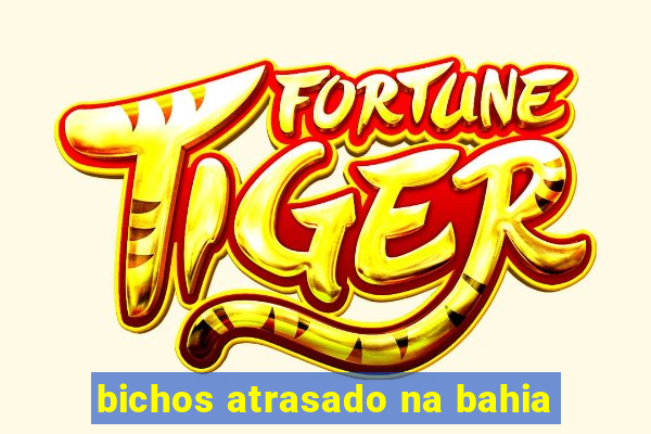 bichos atrasado na bahia
