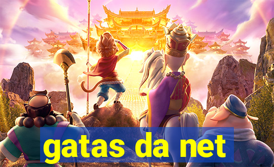 gatas da net