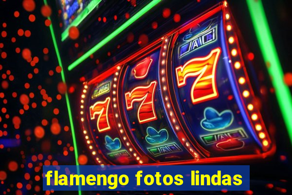 flamengo fotos lindas