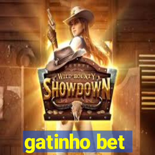 gatinho bet