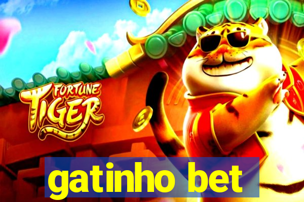 gatinho bet