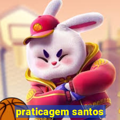 praticagem santos