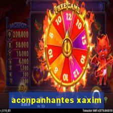 aconpanhantes xaxim