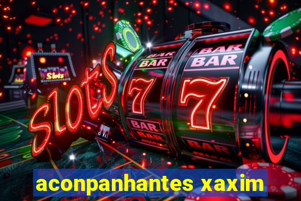 aconpanhantes xaxim