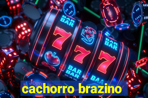 cachorro brazino