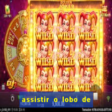 assistir o lobo de wall street gratis