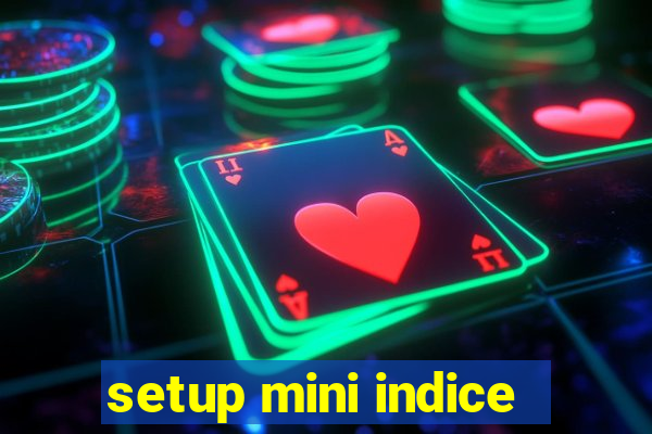 setup mini indice