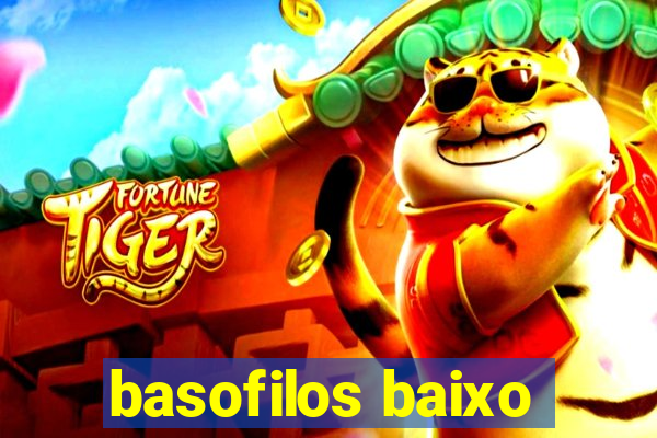 basofilos baixo