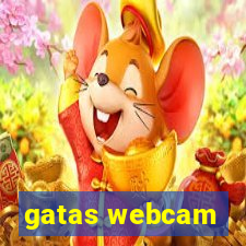gatas webcam