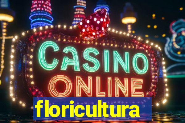 floricultura juazeiro bahia