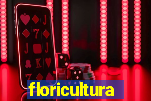 floricultura juazeiro bahia