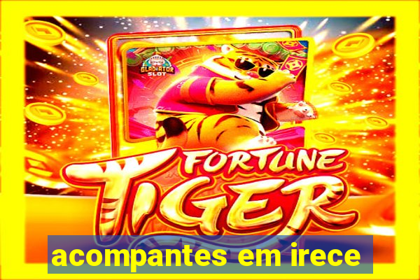 acompantes em irece