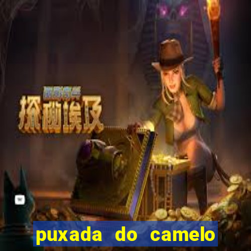 puxada do camelo no jogo do bicho