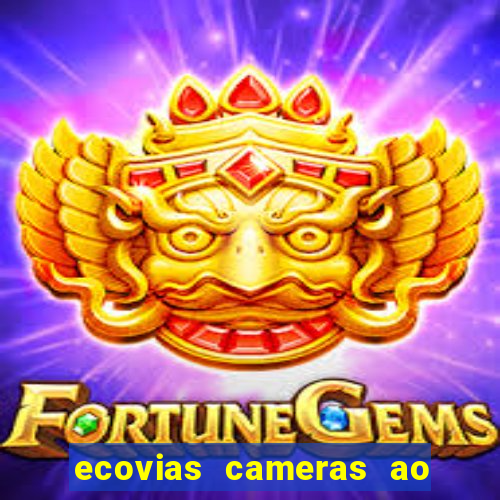 ecovias cameras ao vivo santos