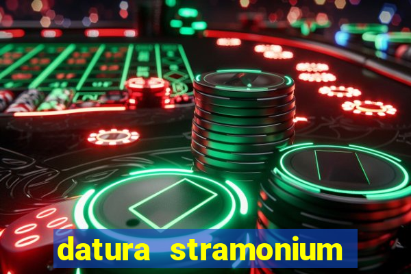 datura stramonium medicinal uses