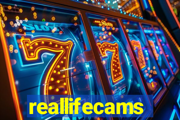 reallifecams