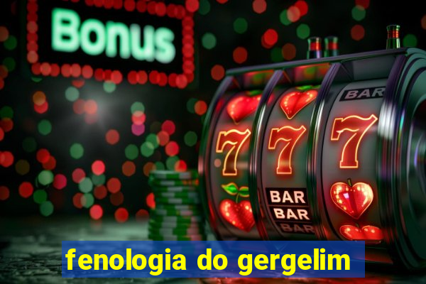 fenologia do gergelim