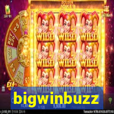 bigwinbuzz