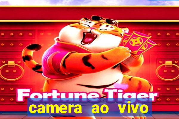 camera ao vivo praia do forte bahia