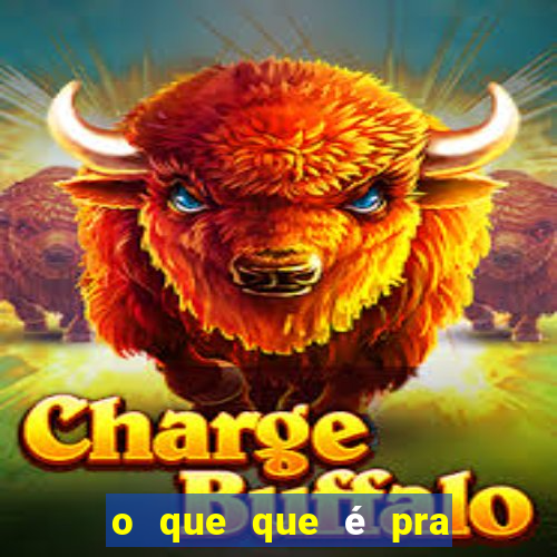 o que que é pra falar portal zacarias