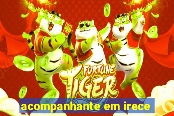 acompanhante em irece
