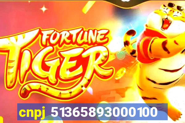 cnpj 51365893000100