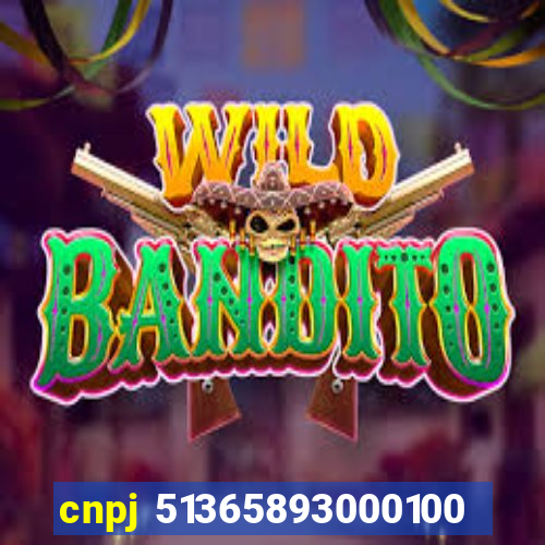 cnpj 51365893000100