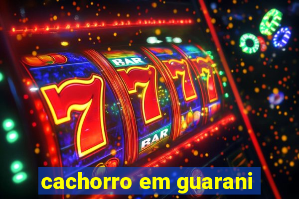 cachorro em guarani