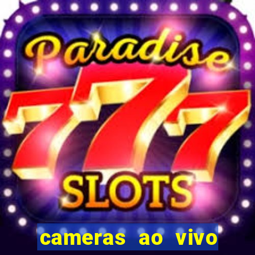 cameras ao vivo beto carrero