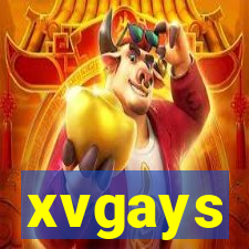 xvgays