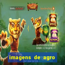 imagens de agro racoes guarani