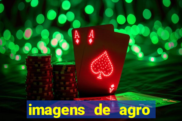 imagens de agro racoes guarani