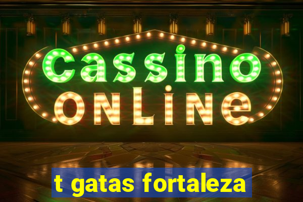 t gatas fortaleza