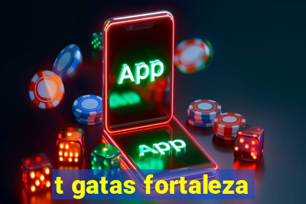 t gatas fortaleza