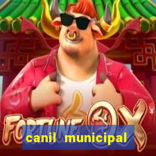 canil municipal porto alegre
